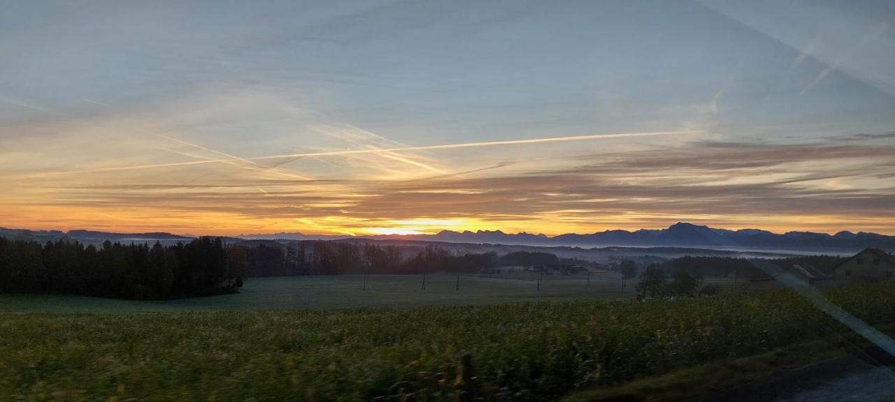 Goldener Anker